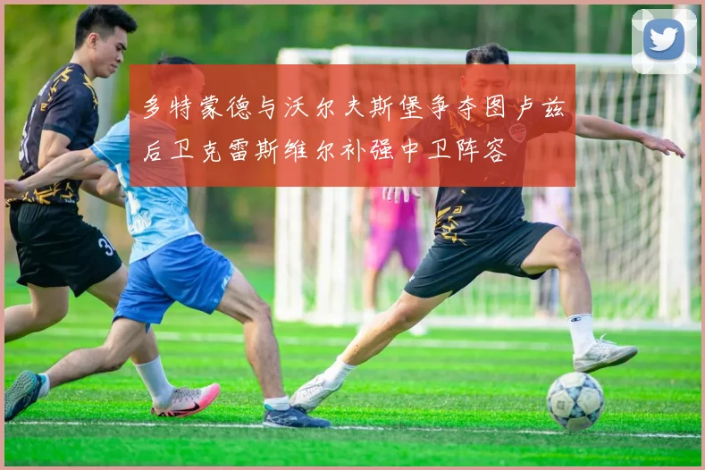 多特蒙德与沃尔夫斯堡争夺图卢兹后卫克雷斯维尔补强中卫阵容